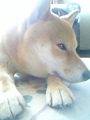 img00890.jpeg