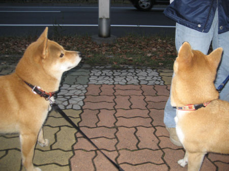img10190.jpeg