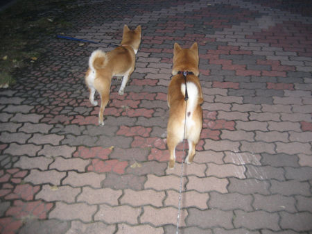 img10210.jpeg