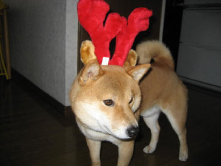 img11880.jpeg