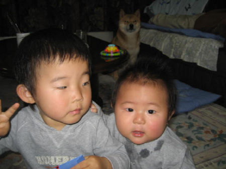 img12680.jpeg
