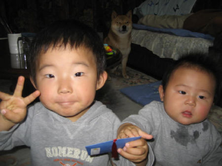 img12690.jpeg