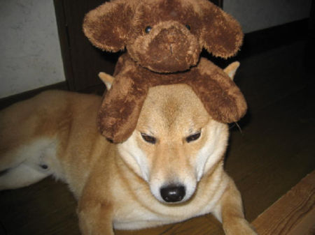 img12710.jpeg