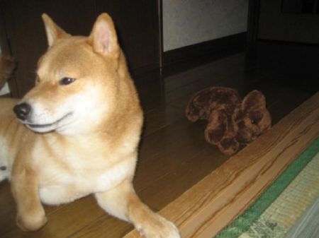 img12720.jpeg