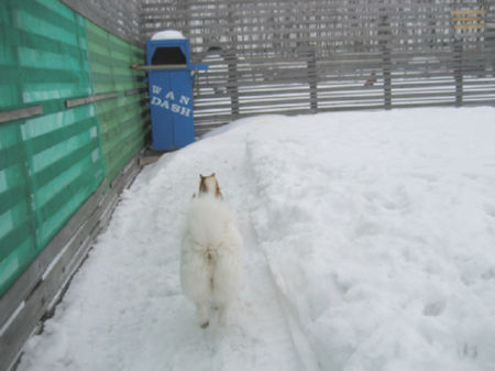 img15000.jpeg