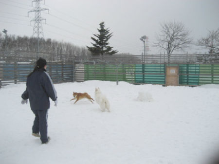 img15010.jpeg