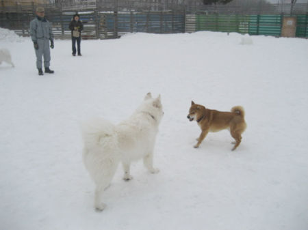 img15050.jpeg