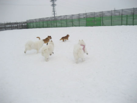 img15060.jpeg
