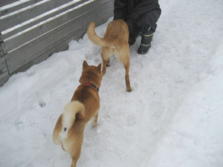 img15120.jpeg