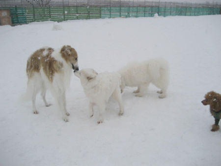 img15190.jpeg