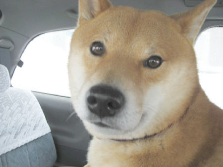 img15200.jpeg
