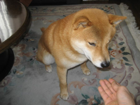 img15850.jpeg
