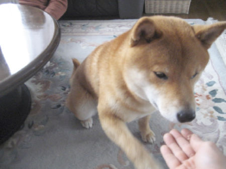 img15870.jpeg