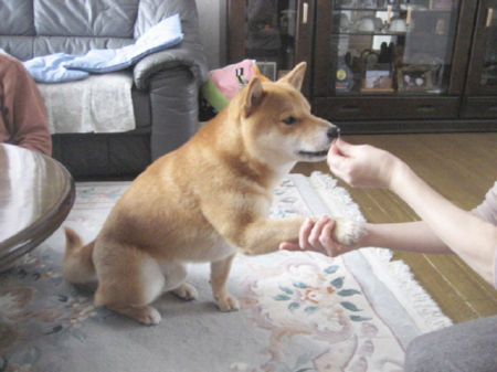 img15900.jpeg