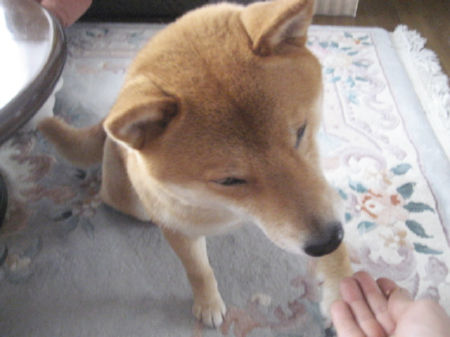 img15920.jpeg