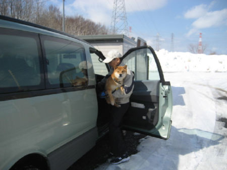 img15950.jpeg