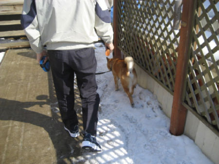 img15960.jpeg