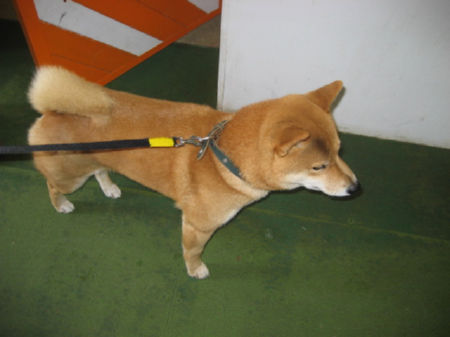 img15990.jpeg