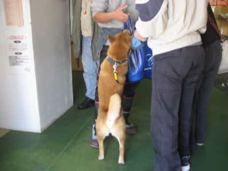 img16000.jpeg