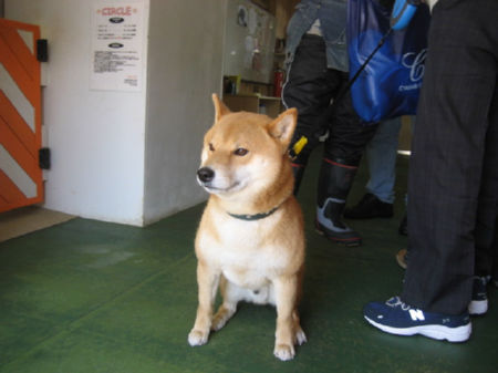 img16010.jpeg