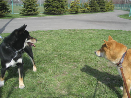 img22100.jpeg