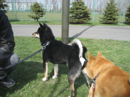 img22110.jpeg