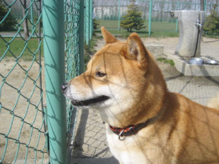 img22150.jpeg