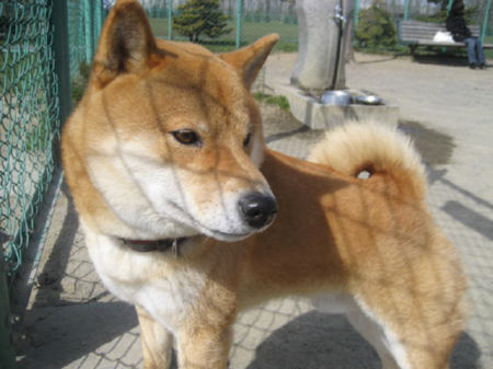 img22160.jpeg