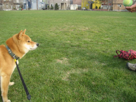 img22250.jpeg