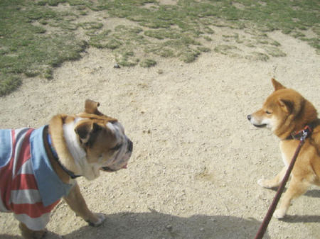 img22300.jpeg