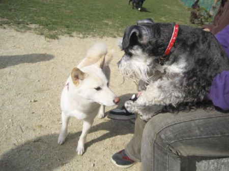 img22320.jpeg