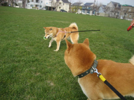 img22360.jpeg