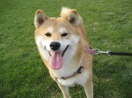 img22380.jpeg