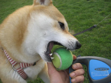 img22400.jpeg