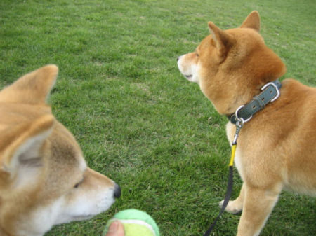 img22410.jpeg