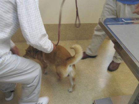 img22870.jpeg
