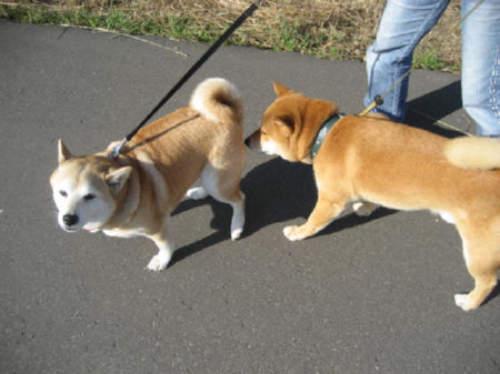 img23090.jpeg