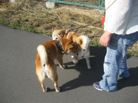 img23100.jpeg
