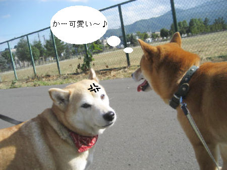 img231305.jpeg
