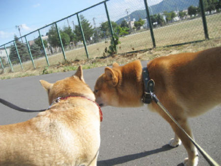 img23140.jpeg