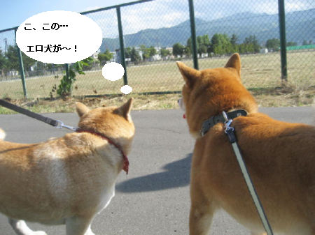 img231500.jpeg