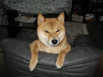 pixoh_r4409d6t9.jpg